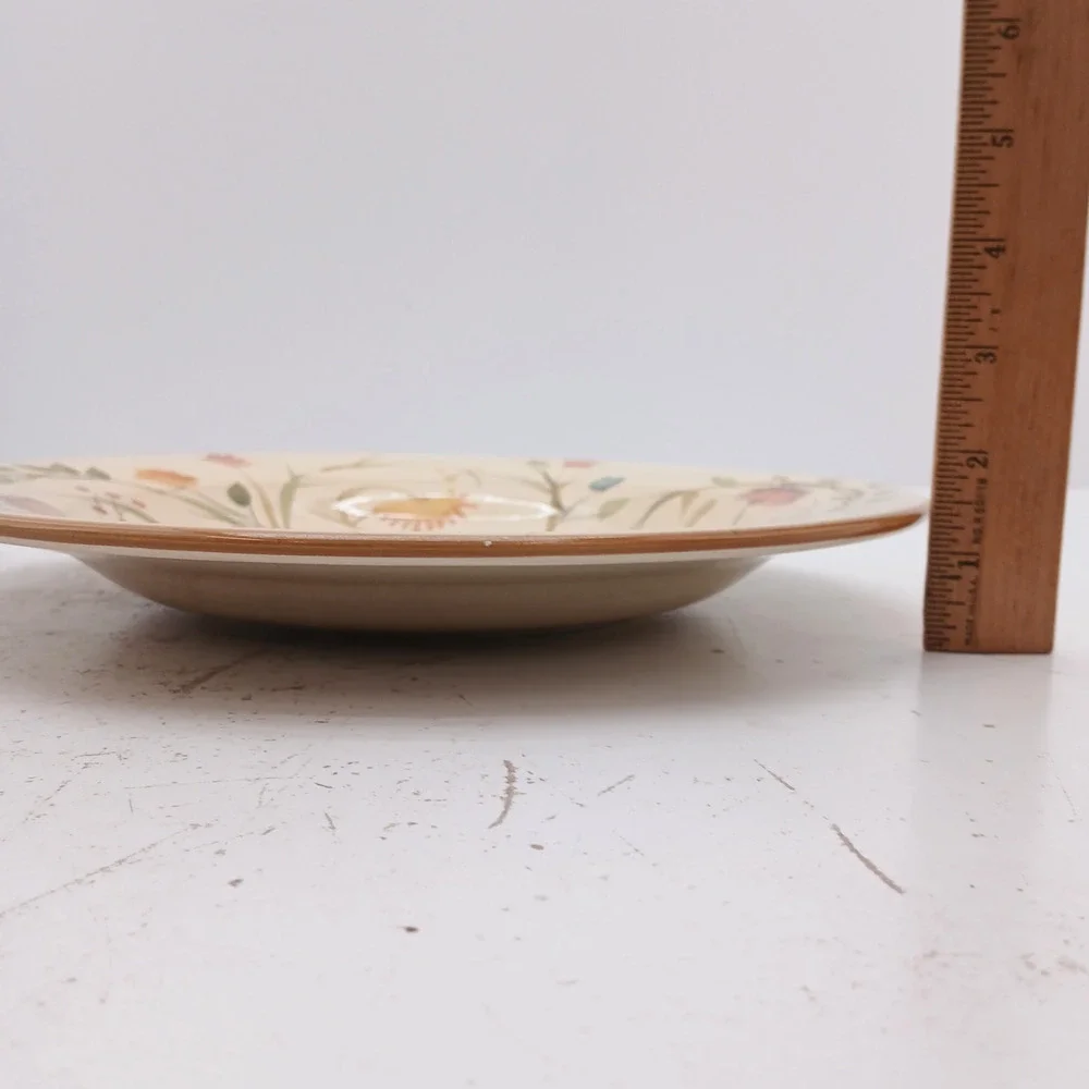 Home American Simplicity Stoneware Dinner Plates 11